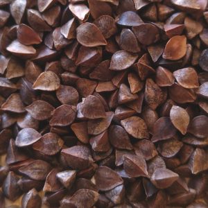 Organic Raw Whole UNHULLED BUCKWHEAT Seeds