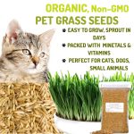 oat grass seeds naturalvita