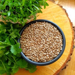 NATURALVITA-coriander-microgreens-seeds