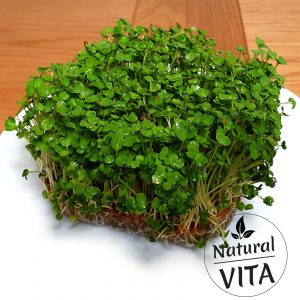 Hydroponic Grow Mat – for Microgreens, Wheatgrass, Sprouts