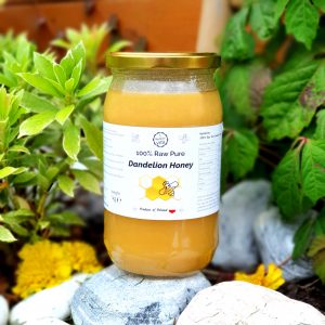 Real Dandelion Honey 1kg - Raw, Natural, Unpasteurised