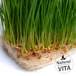 Hydroponic Grow Mat – for Microgreens, Wheatgrass, Sprouts