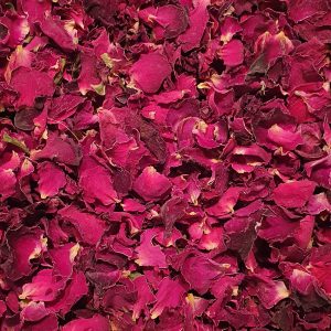 Dark Pink Rose Petals